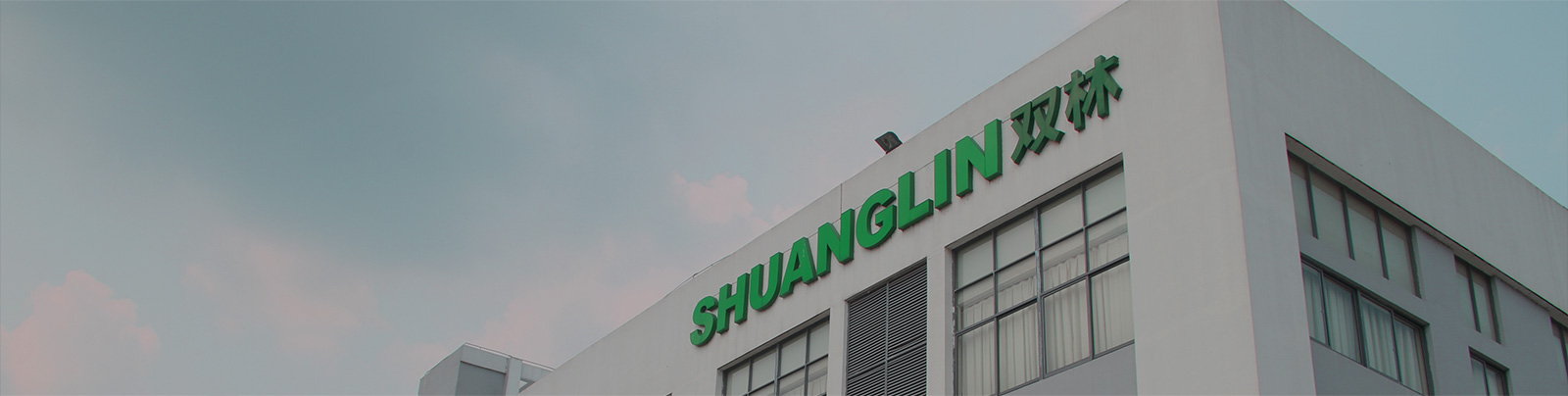 龙8头号玩家集团站群