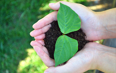 凯时KB88·(中国区)官方网站