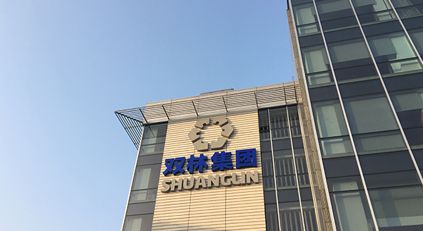 龙8头号玩家印象