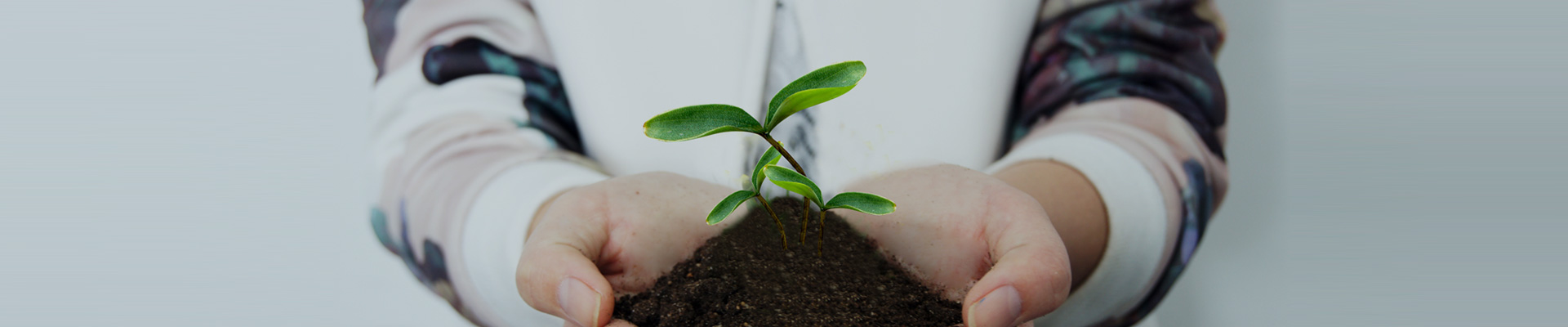 关于龙8头号玩家